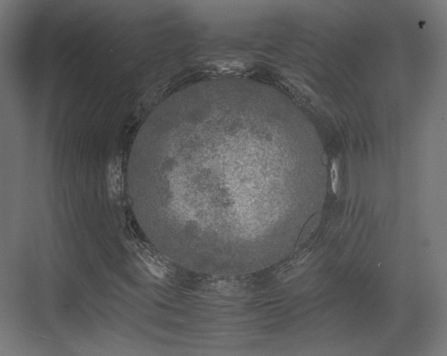 X0000074971395200609081359