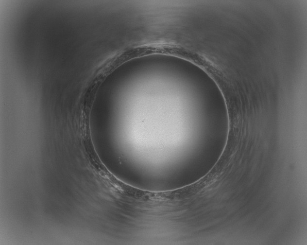 X0000074971398200609081359