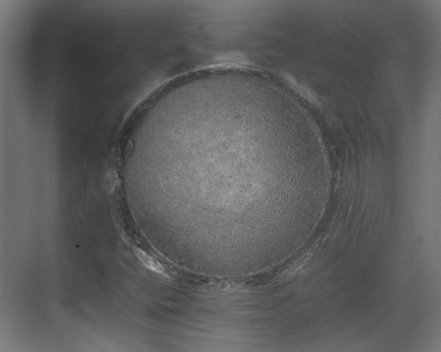 X0000074971400200609081359