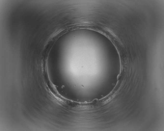 X0000074971402200609081359