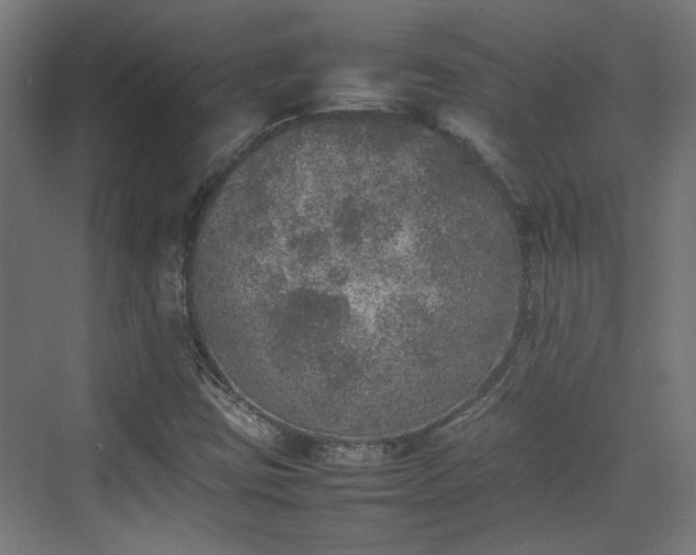 X0000074971403200609081359