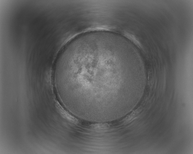 X0000074971404200609081359