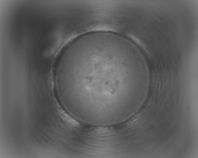 X0000074971408200609081359