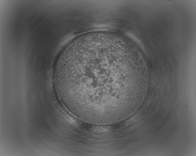 X0000074971411200609081359