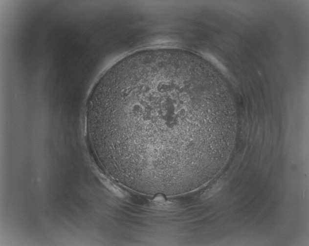 X0000074971413200609081359