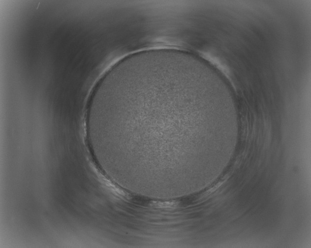 X0000074971415200609081359