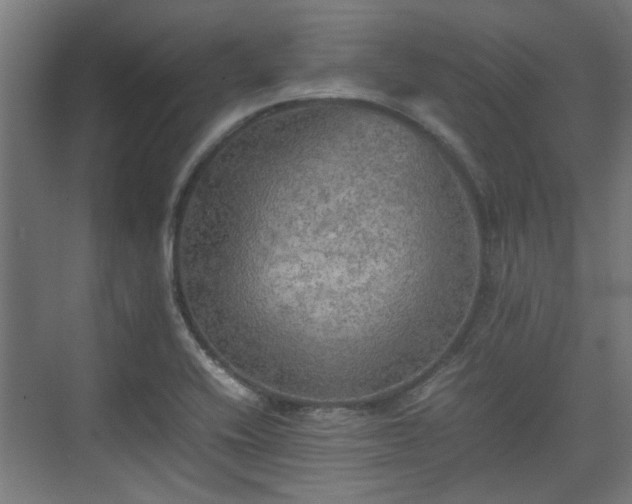 X0000074971416200609081359