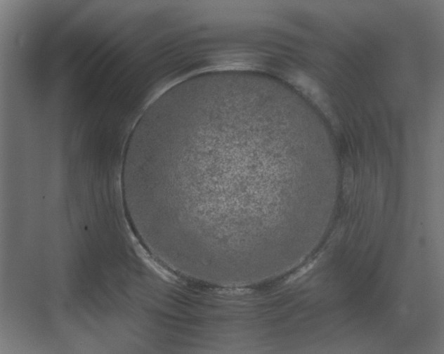 X0000074971417200609081359