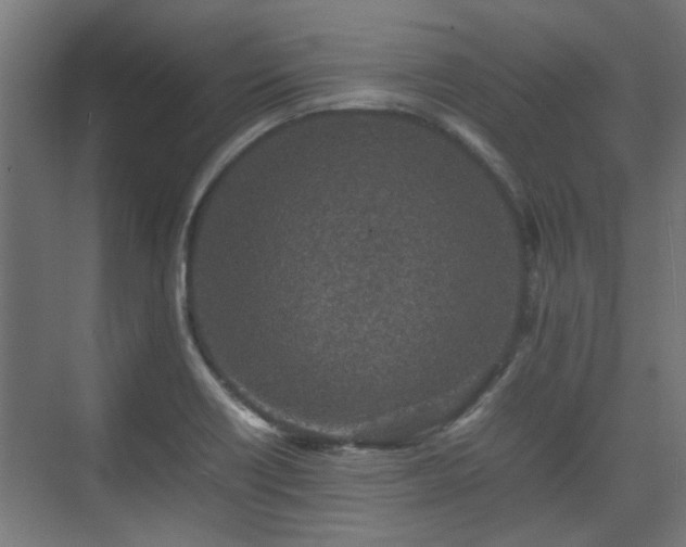 X0000074971418200609081359