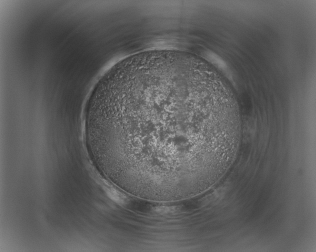 X0000074971419200609081359