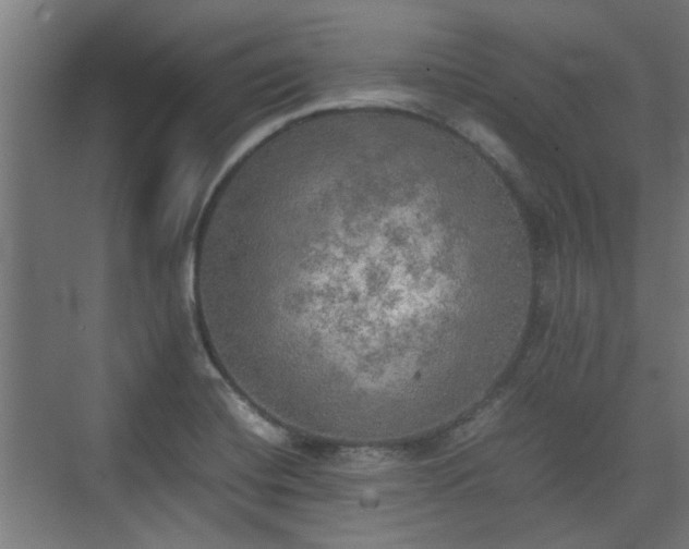 X0000074971420200609081359