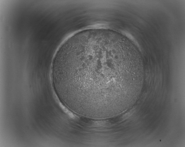 X0000074971421200609081359