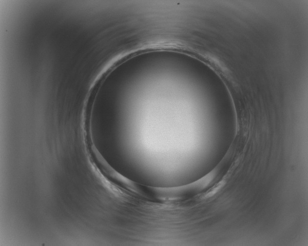 X0000074971422200609081400