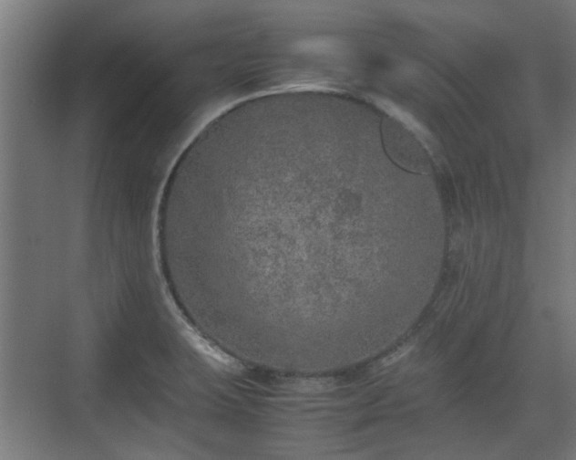 X0000074971423200609081400