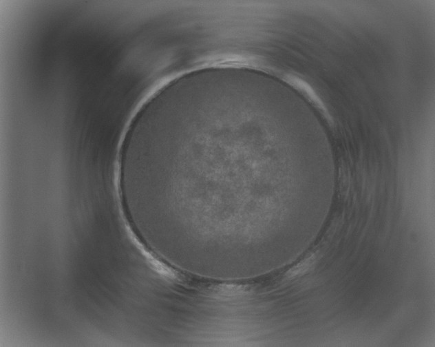 X0000074971424200609081400