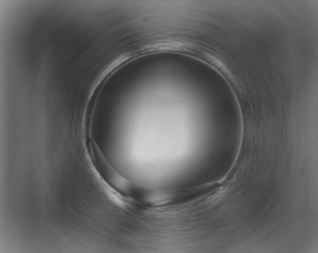 X0000074971426200609081400