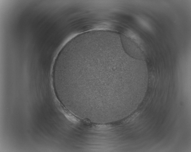 X0000074971427200609081400