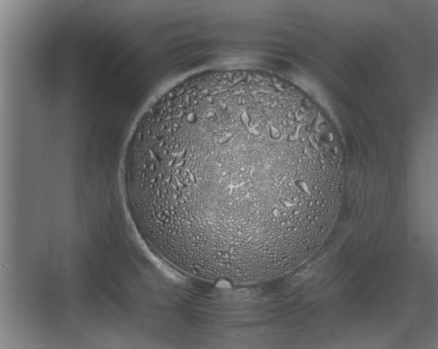 X0000074971429200609081400