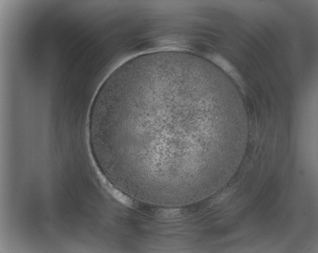 X0000074971431200609081400