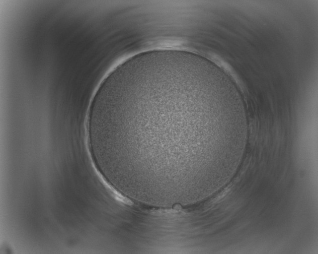 X0000074971432200609081400