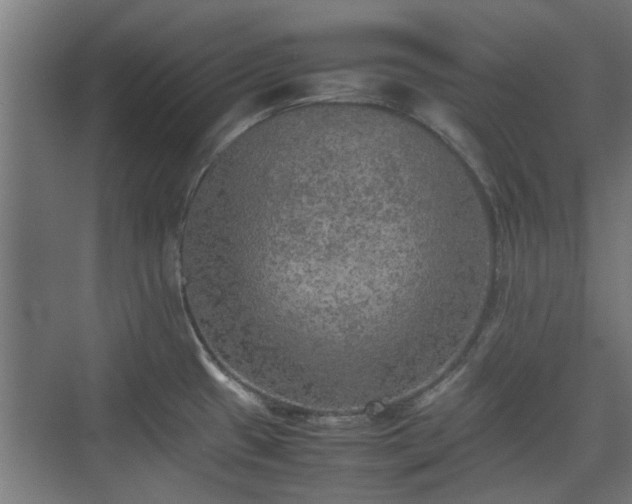 X0000074971433200609081400