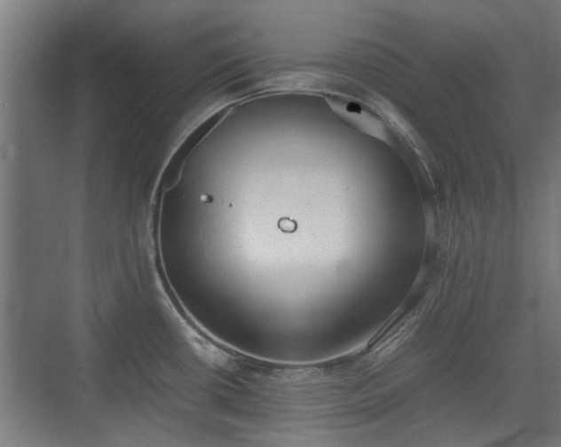 X0000074971434200609081400