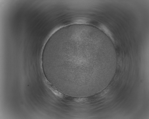 X0000074971435200609081400