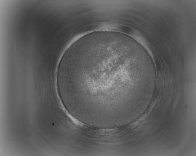 X0000074971437200609081400