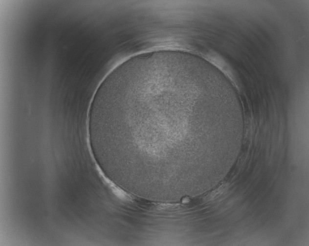 X0000074971439200609081400