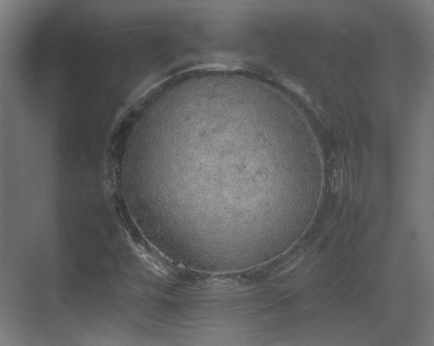 X0000074971448200609081359