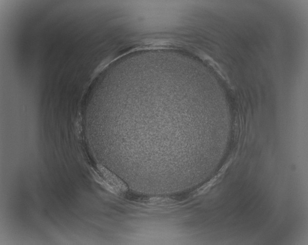 X0000074971449200609081359