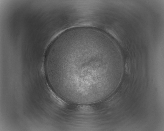 X0000074971452200609081359