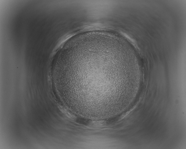 X0000074971453200609081359