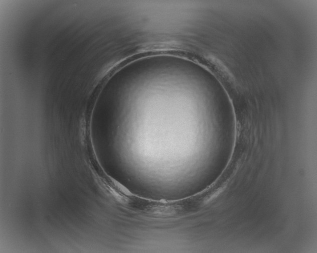 X0000074971457200609081359