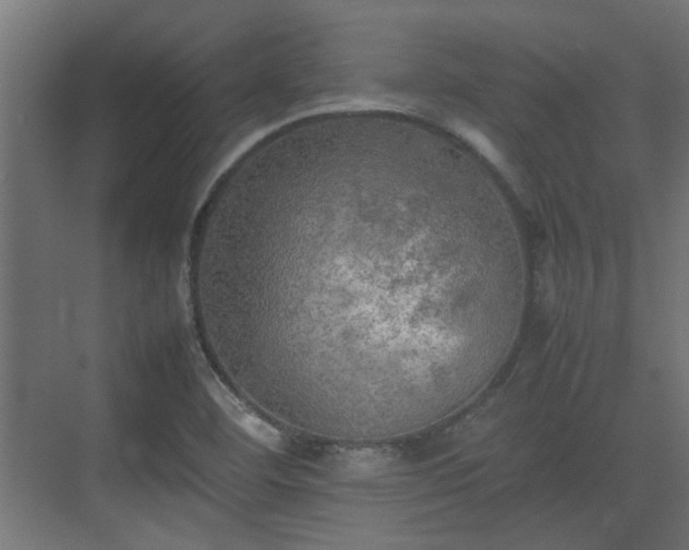 X0000074971460200609081359