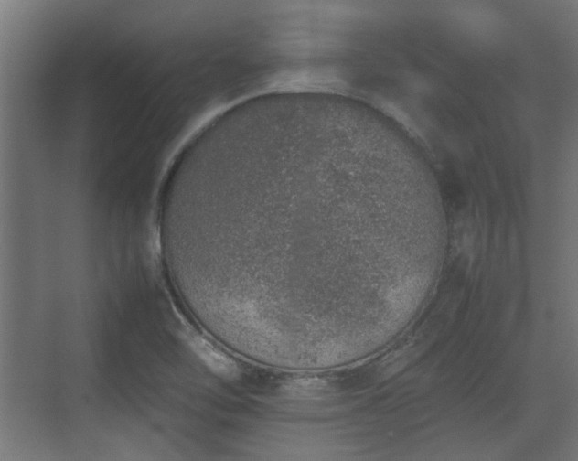 X0000074971462200609081359