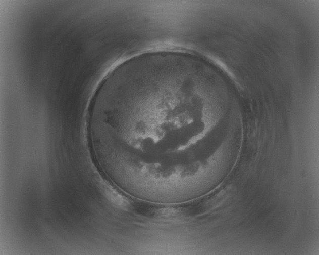 X0000074971463200609081359