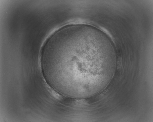 X0000074971464200609081359