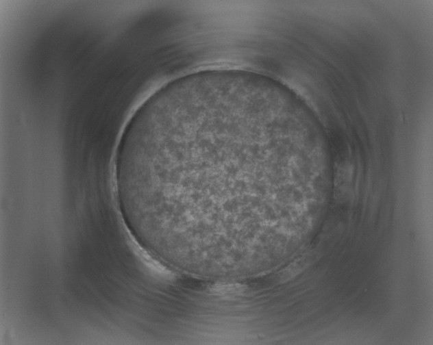 X0000074971466200609081359