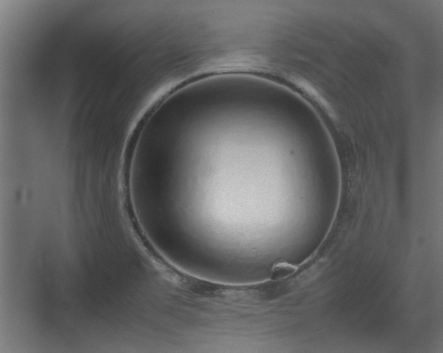 X0000074971469200609081359