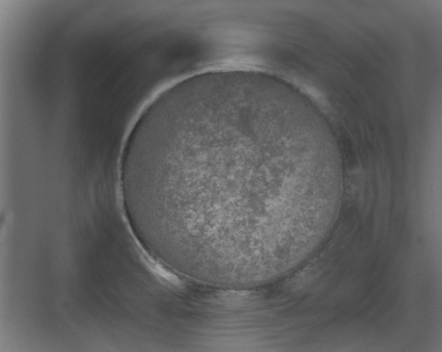 X0000074971470200609081359