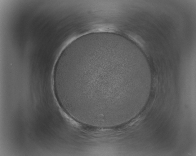 X0000074971471200609081359