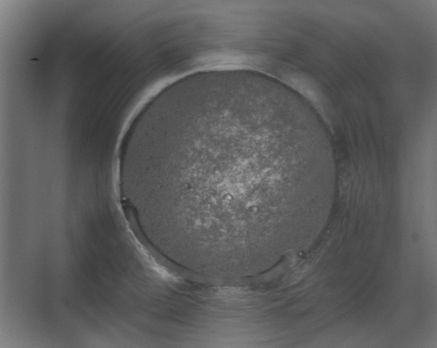 X0000074971472200609081358