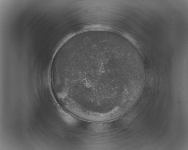 X0000074971474200609081358