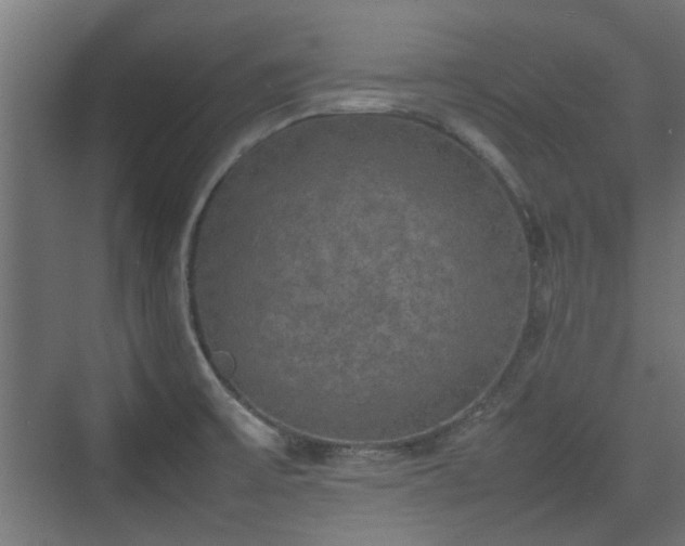 X0000074971475200609081358