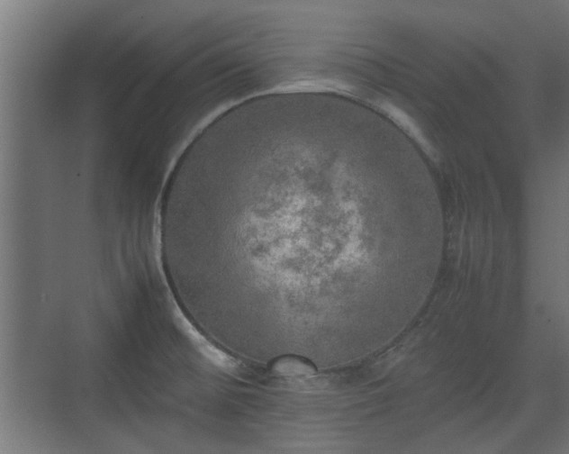 X0000074971476200609081358