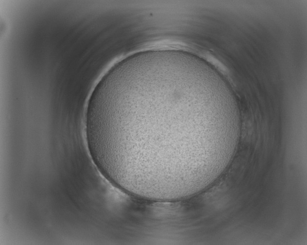 X0000074971478200609081358