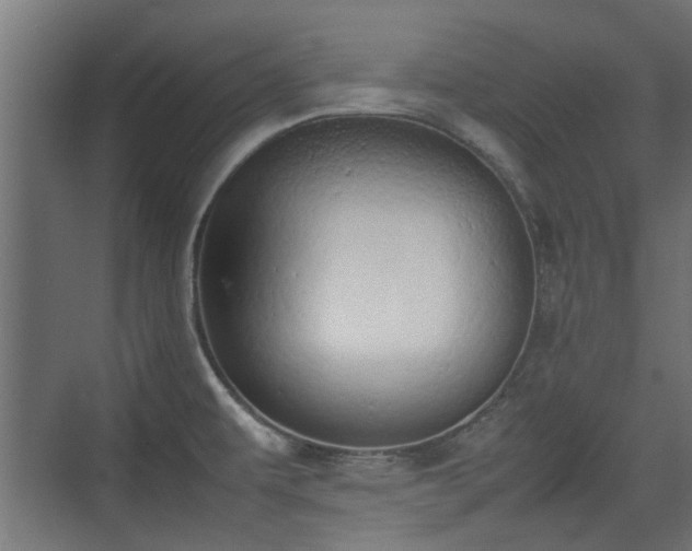 X0000074971479200609081358