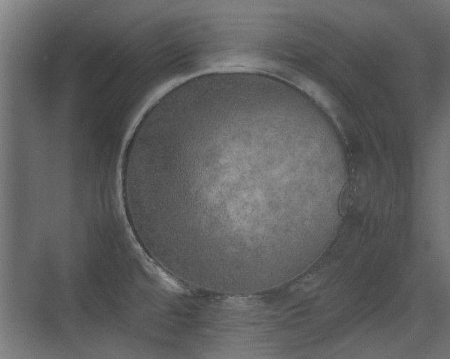 X0000074971480200609081358