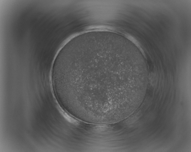 X0000074971482200609081358